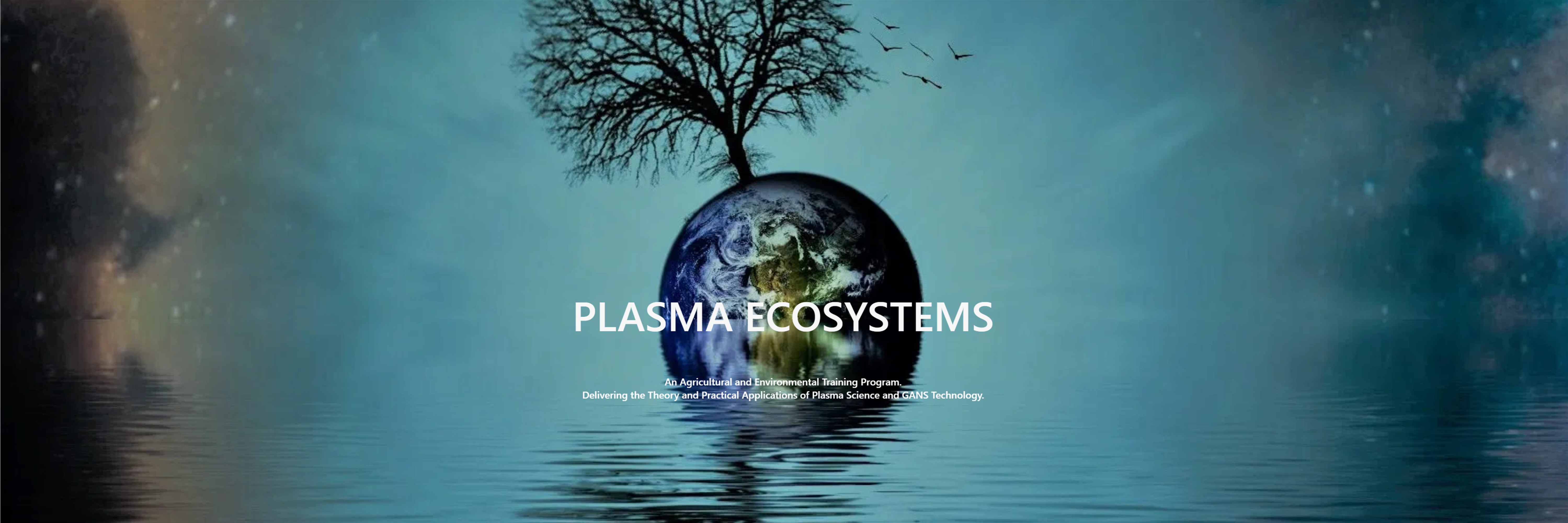 PlasmaEcosystems